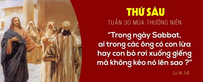 Suy niệm Thứ Sáu Tuần XXX Thường Niên: Kéo lên ngay dù ngày sabát